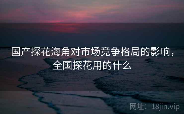 国产探花海角对市场竞争格局的影响，全国探花用的什么  第2张