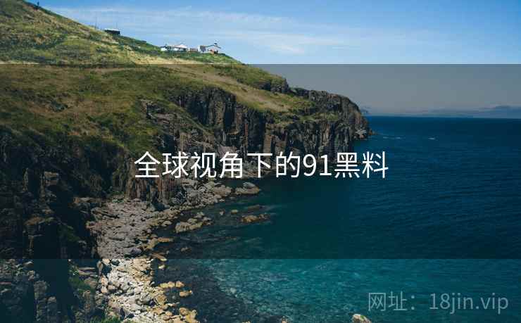 全球视角下的91黑料 第1张 全球视角下的91黑料 第1张