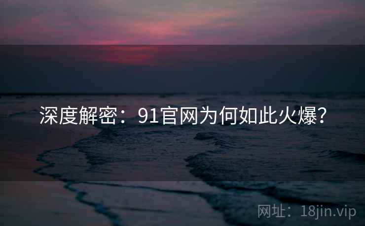 深度解密：91官网为何如此火爆？  第1张