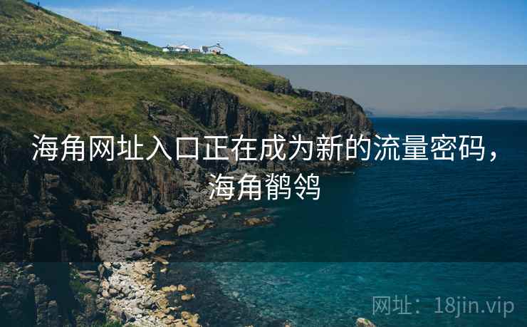 海角网址入口正在成为新的流量密码，海角鹡鸰  第1张
