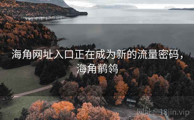海角网址入口正在成为新的流量密码，海角鹡鸰  第2张