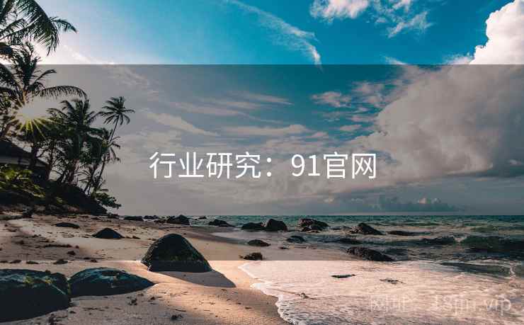 行业研究:91官网 第1张 行业研究:91官网 第1张
