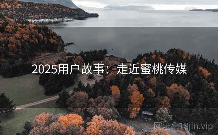 2025用户故事：走近蜜桃传媒  第1张