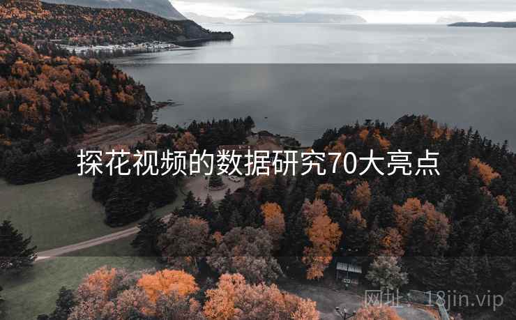 探花视频的数据研究70大亮点 第1张 探花视频的数据研究70大亮点 第1张