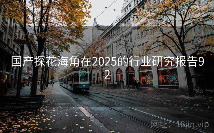 国产探花海角在2025的行业研究报告92 第2张 国产探花海角在2025的行业研究报告92 第2张