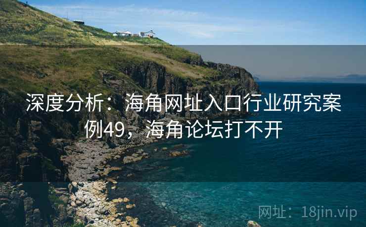 深度分析：海角网址入口行业研究案例49，海角论坛打不开  第1张