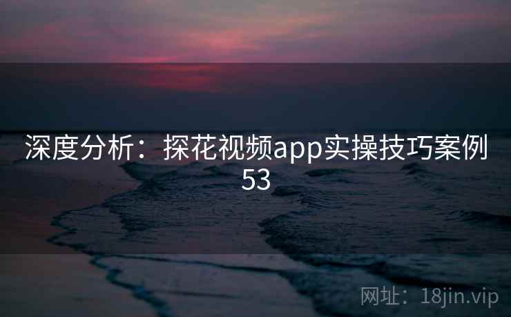 深度分析：探花视频app实操技巧案例53  第2张