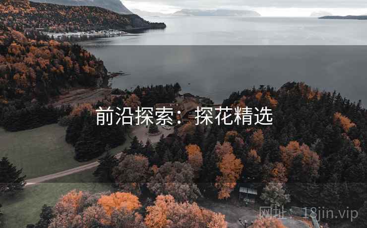 前沿探索：探花精选  第2张