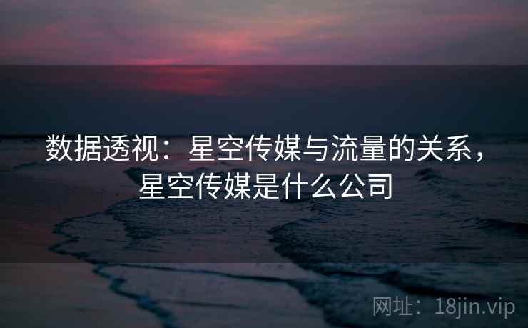 数据透视：星空传媒与流量的关系，星空传媒是什么公司  第2张